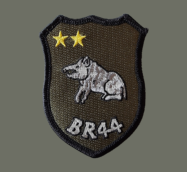 Patch blason verte - 7 euros